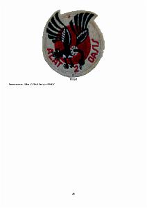 610 LES INSIGNES DE L ALAT EN AFN PAR CHRISTIAN MALCROS_000058